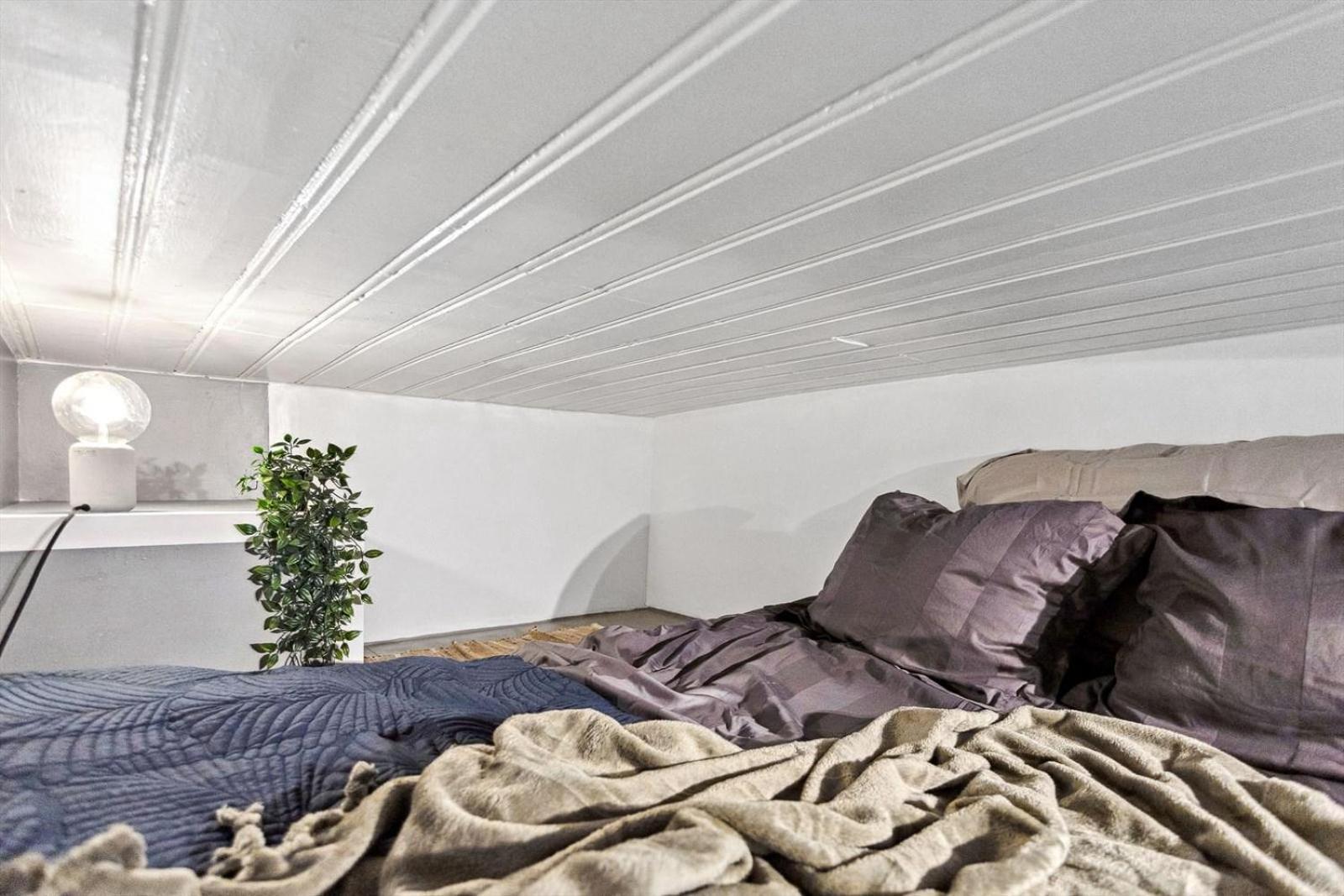 Cozy Room In Central Oslo Grunerlokka Happy Days Exterior foto
